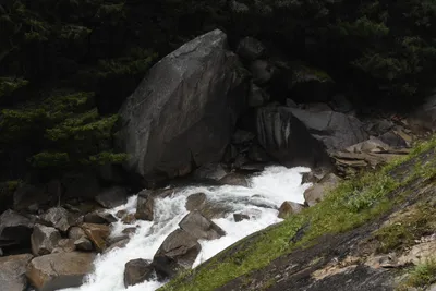 DSC_4711 (Large).JPG